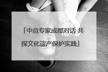 中意专家成都对话 共探文化遗产保护实践