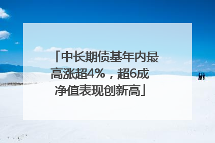中长期债基年内最高涨超4%，超6成净值表现创新高
