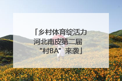 乡村体育绽活力 河北南皮第二届“村BA”来袭