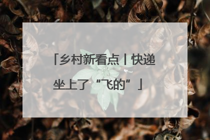 乡村新看点丨快递坐上了“飞的”