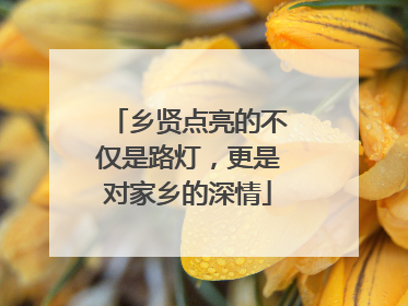 乡贤点亮的不仅是路灯，更是对家乡的深情