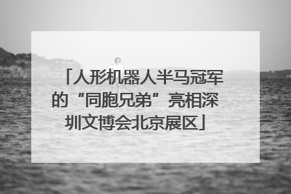 人形机器人半马冠军的“同胞兄弟”亮相深圳文博会北京展区