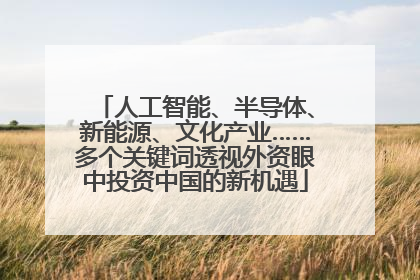 人工智能、半导体、新能源、文化产业……多个关键词透视外资眼中投资中国的新机遇