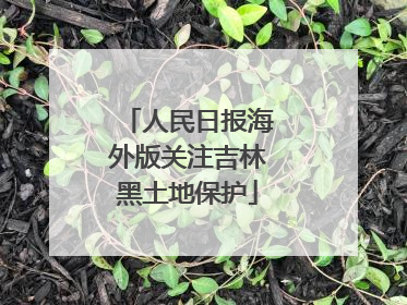 人民日报海外版关注吉林黑土地保护