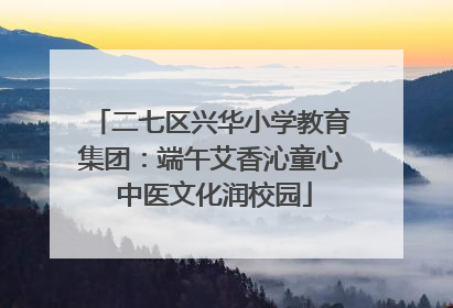 二七区兴华小学教育集团：端午艾香沁童心 中医文化润校园