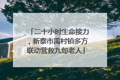 二十小时生命接力，新泰市禹村镇多方联动营救九旬老人