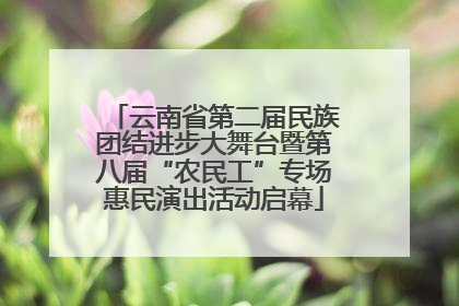 云南省第二届民族团结进步大舞台暨第八届“农民工”专场惠民演出活动启幕