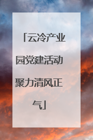 云冷产业园党建活动聚力清风正气