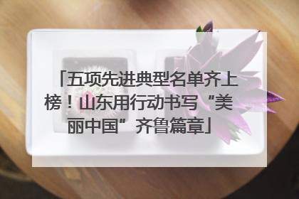 五项先进典型名单齐上榜！山东用行动书写“美丽中国”齐鲁篇章
