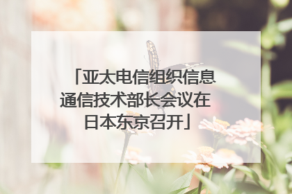 亚太电信组织信息通信技术部长会议在日本东京召开