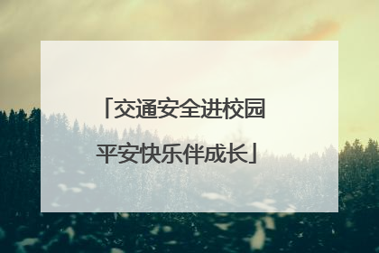 交通安全进校园 平安快乐伴成长