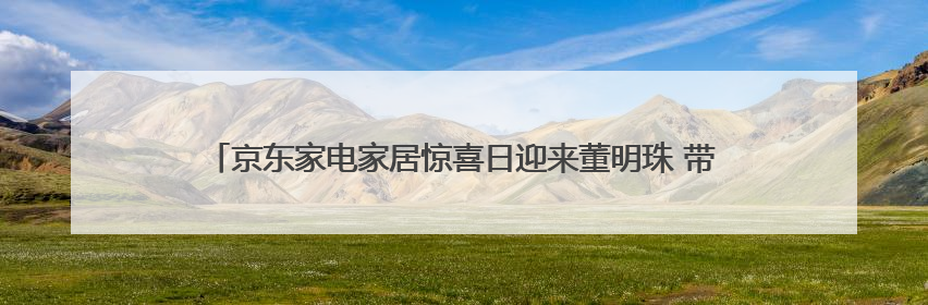 京东家电家居惊喜日迎来董明珠 带动空调品类销量同比增长100%