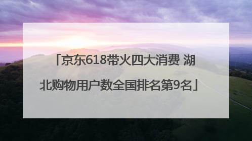 京东618带火四大消费 湖北购物用户数全国排名第9名