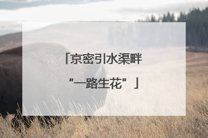 京密引水渠畔“一路生花”