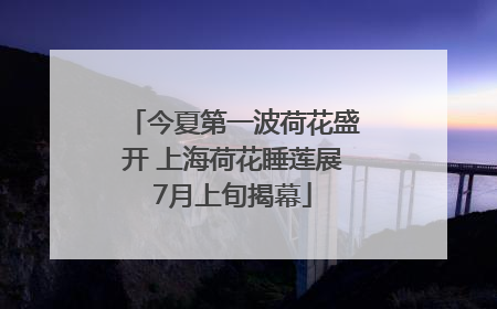 今夏第一波荷花盛开 上海荷花睡莲展7月上旬揭幕