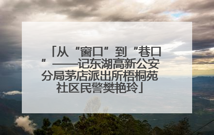 从“窗口”到“巷口”——记东湖高新公安分局茅店派出所梧桐苑社区民警樊艳玲