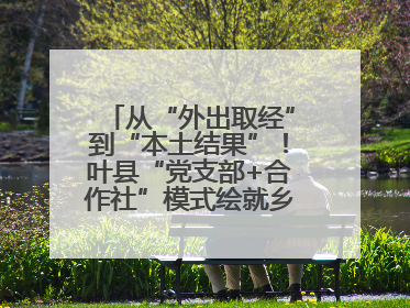 从“外出取经”到“本土结果”！叶县“党支部+合作社”模式绘就乡村振兴新图景