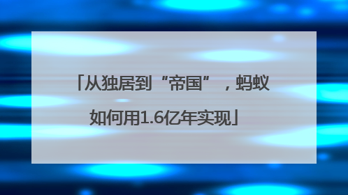 从独居到“帝国”，蚂蚁如何用1.6亿年实现