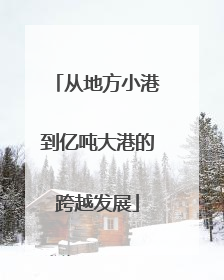 从地方小港到亿吨大港的跨越发展