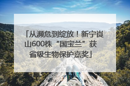 从濒危到绽放！新宁崀山600株“国宝兰”获省级生物保护嘉奖