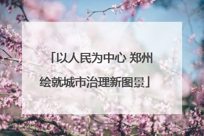 以人民为中心 郑州绘就城市治理新图景