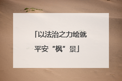 以法治之力绘就平安“枫”景