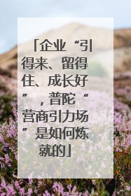 企业“引得来、留得住、成长好”，普陀“营商引力场”是如何炼就的