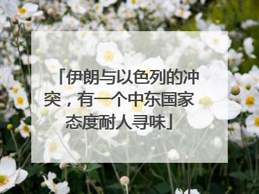 伊朗与以色列的冲突，有一个中东国家态度耐人寻味