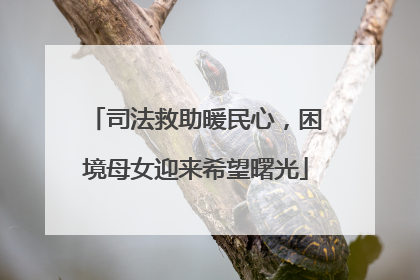 司法救助暖民心，困境母女迎来希望曙光