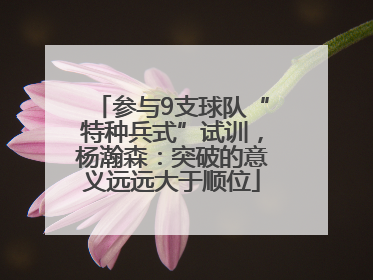 参与9支球队“特种兵式”试训，杨瀚森：突破的意义远远大于顺位