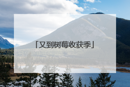 又到树莓收获季