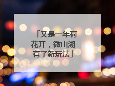 又是一年荷花开，微山湖有了新玩法
