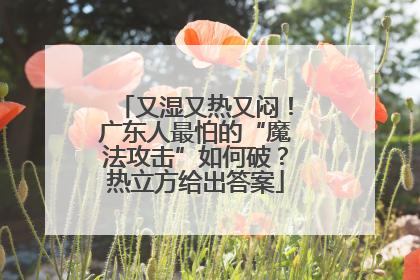 又湿又热又闷！广东人最怕的“魔法攻击”如何破？热立方给出答案