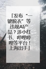 发布“一键脱衣”等违规AI产品？涉小红书、哔哩哔哩等平台！上海出手