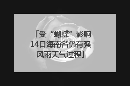 受“蝴蝶”影响 14日海南省仍有强风雨天气过程