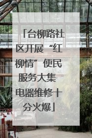 台柳路社区开展“红柳情”便民服务大集 电器维修十分火爆
