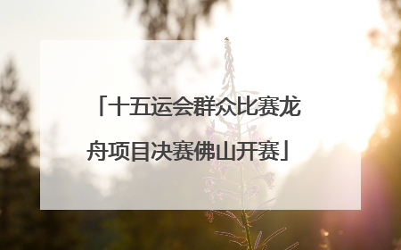 十五运会群众比赛龙舟项目决赛佛山开赛