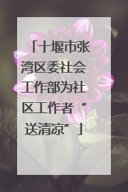 十堰市张湾区委社会工作部为社区工作者“送清凉”