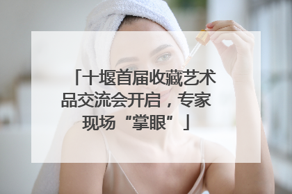 十堰首届收藏艺术品交流会开启，专家现场“掌眼”