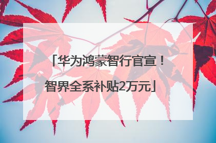 华为鸿蒙智行官宣！智界全系补贴2万元
