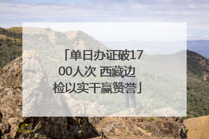 单日办证破1700人次 西藏边检以实干赢赞誉