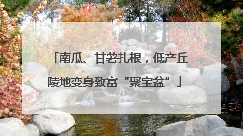 南瓜、甘薯扎根，低产丘陵地变身致富“聚宝盆”