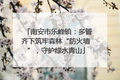 南安市乐峰镇：多管齐下筑牢森林“防火墙”，守护绿水青山