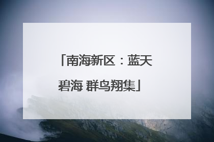 南海新区：蓝天碧海 群鸟翔集