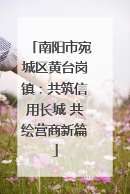 南阳市宛城区黄台岗镇：共筑信用长城 共绘营商新篇