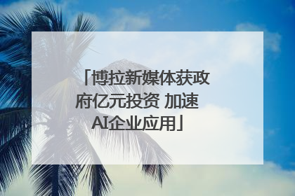 博拉新媒体获政府亿元投资 加速AI企业应用