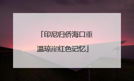 印尼归侨海口重温琼崖红色记忆
