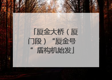 厦金大桥（厦门段）“厦金号”盾构机始发