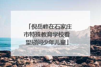 倪岳峰在石家庄市特殊教育学校看望慰问少年儿童