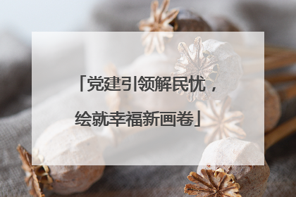 党建引领解民忧，绘就幸福新画卷
